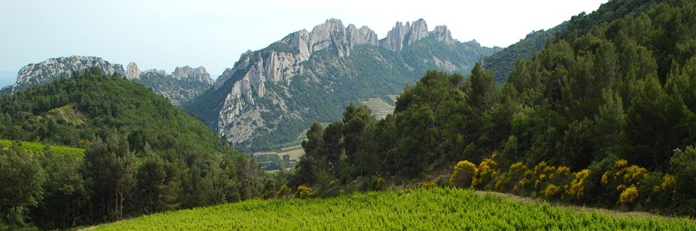 Bild zur Tour Côtes du Rhône | Süd-Frankreich