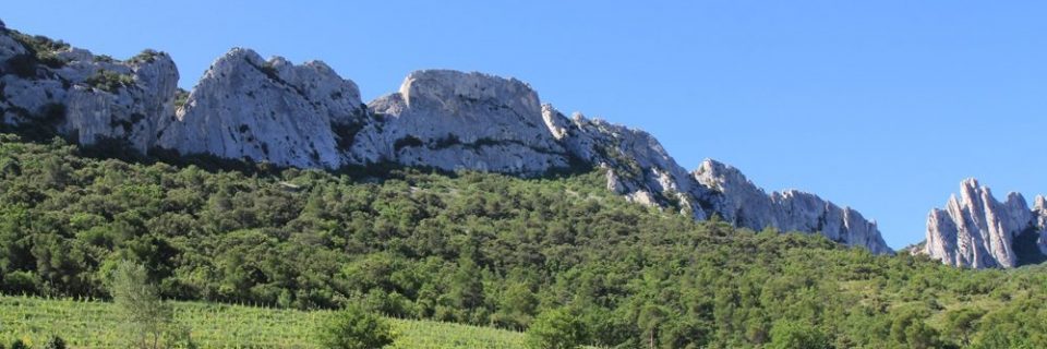 Bild zur Tour Côtes du Rhône | Süd-Frankreich