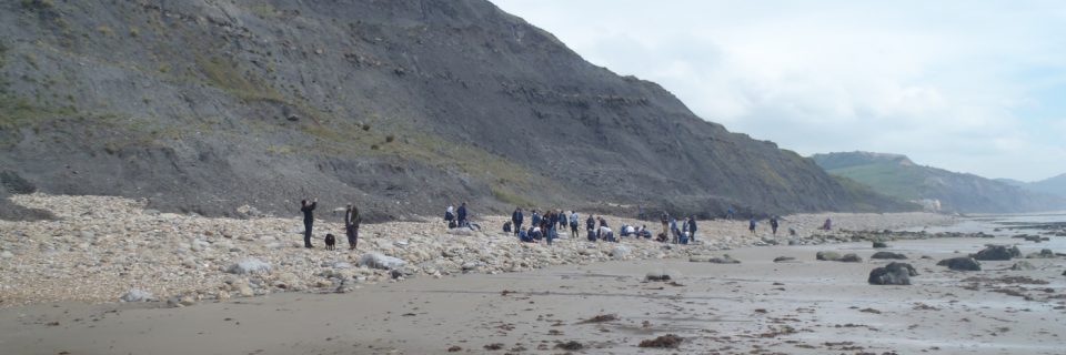 Jurasic-Coast-Fossiliensammler