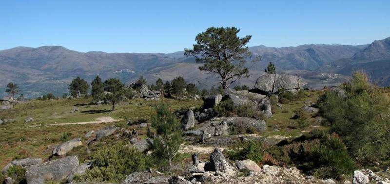 Eine steinige, begrünte Landschaft, im Hintergrund mehrere Berge - gesehen auf der individuellen Wanderung in Nord-Portugal