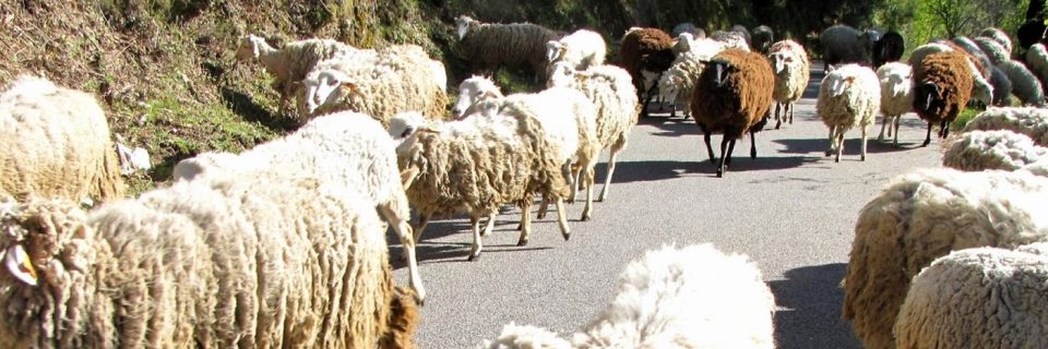 Begegnungen