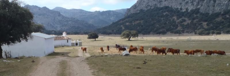 Bild zur Tour Andalusien | Spanien