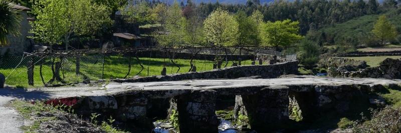 Blick über einen steinernen Weg, dahinter eine Grünfläche mit mehreren Bäumen - gesehen auf der individuellen Wanderung in Nord-Portugal