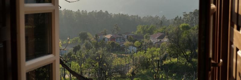 Blick aus einem Fenster heraus auf zahlreiche Bäume, dazwischen vereinzelt Häuser - gesehen auf der individuellen Wanderung in Nord-Portugal