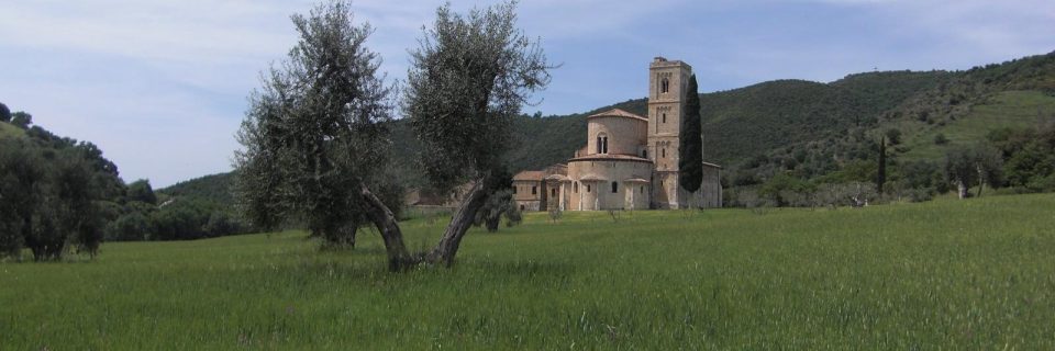 eine große Wiese mit einem Baum, im Hintergrund ein helles Gebäude mit Turm - gesehen auf einer individuellen Wanderung in der Toskana